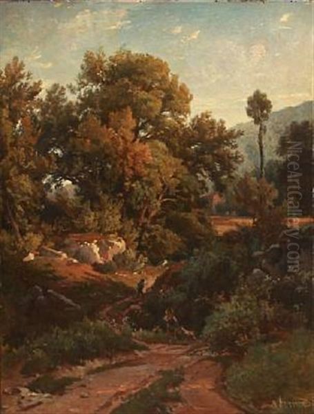 Hilly Landscape - view 1