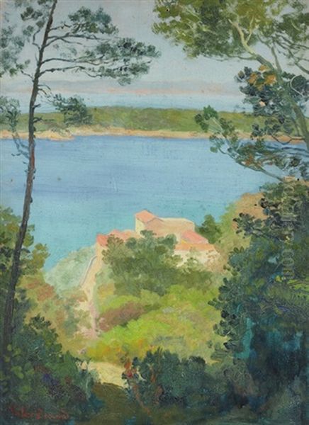 Paysage Du Sud De La France - view 1