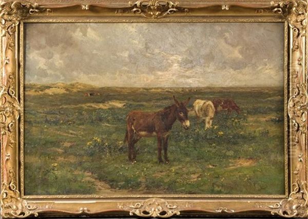 Vaches Et Ane Dans Les Dunes - view 1