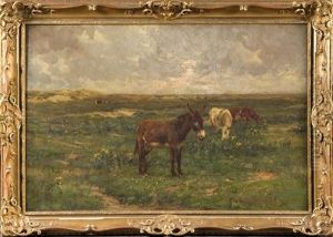Vaches Et Ane Dans Les Dunes