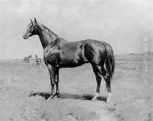 Le Cheval Le Cheval