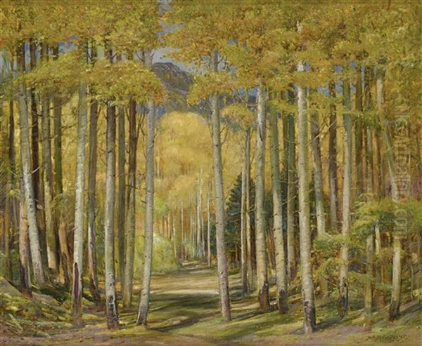Autumn Aspen Forest - view 1