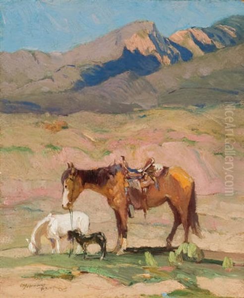 Horse Grazing In Taos Mountains, Nm - view 1
