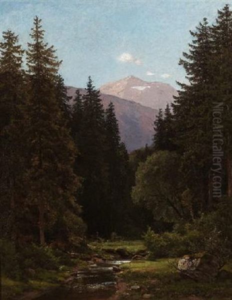 Hochgebirgstal Mit Rehwild Am Bach - view 1