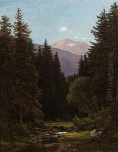 Hochgebirgstal Mit Rehwild Am Bach