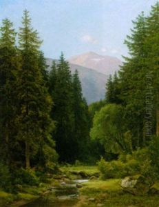 Gebirgstal Mit Sonniger Waldlichtung