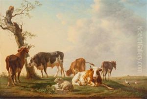 Vaches Et Moutons Vaches Et Moutons