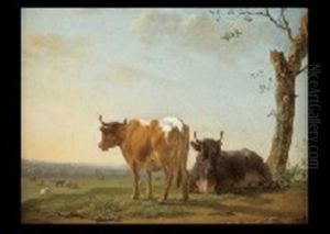 Vaches Au Pre Vaches Au Pre
