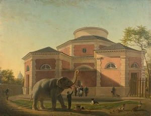 L'elephant Du Jardin Du Roi