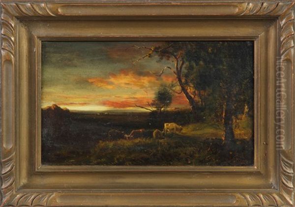 Evening Landscape - view 1