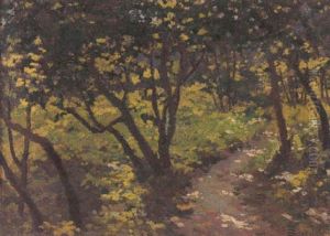 Luci Nel Bosco by Flavio Bertelli