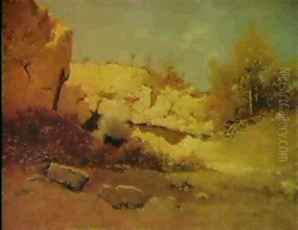 Scoppio Di Mina - view 1