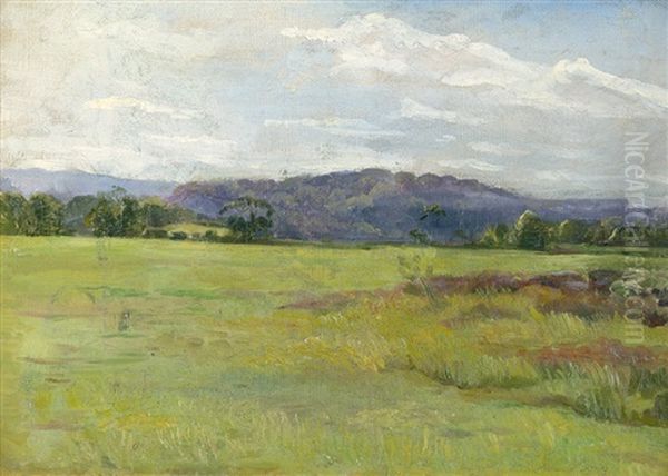 Sommerlandschaftauf Seeland - view 1