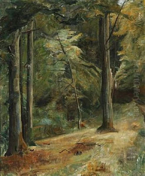 Forest Scene - view 1