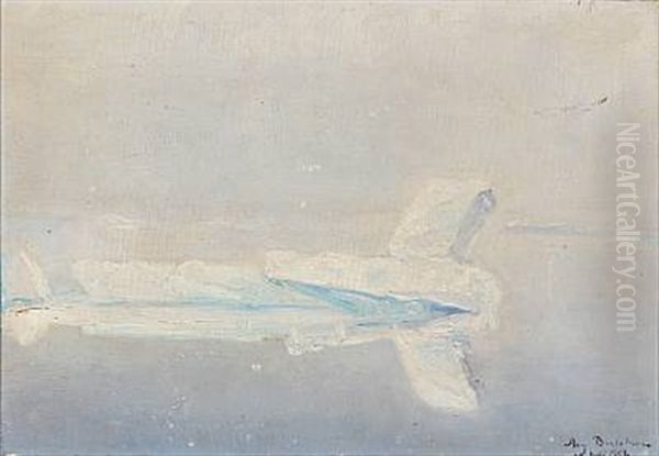 Drifting Icebergs, Greenland - view 1