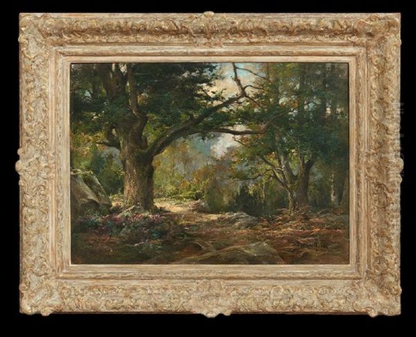 In The Forest Deep - view 1