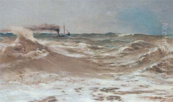 A Steamer In Choppy Waters - view 1