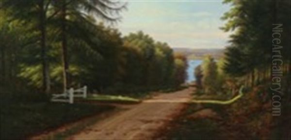 Forest Road With A View - view 1