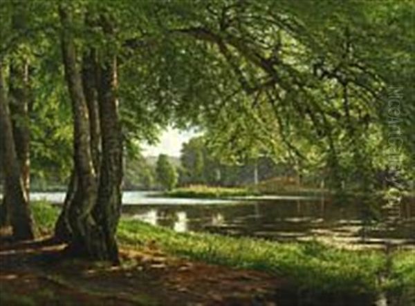 Sunny Forest Scape With Lake - view 1