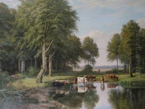 Cattle Watering