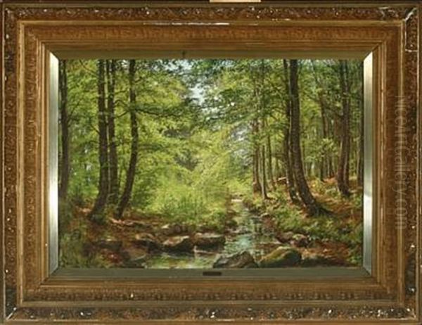 Forrest Scenery With Stream - view 1