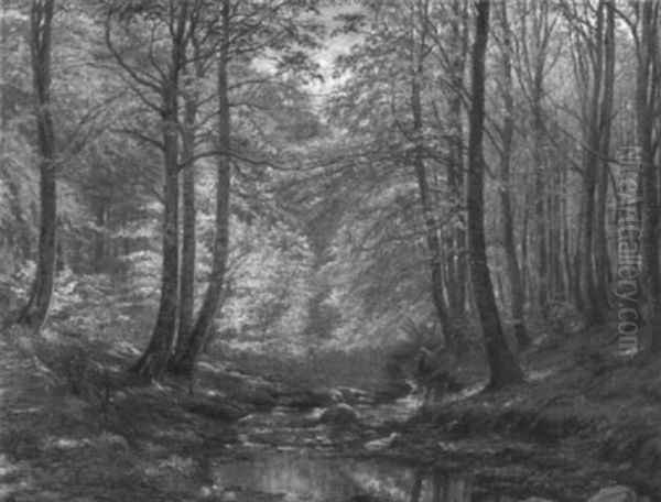 Woodland Interior - view 1