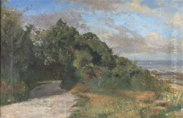 Chemin Au Bord Du Lac Leman - view 1
