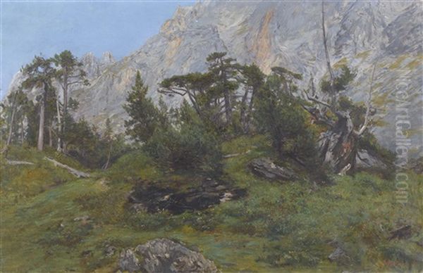 Gebirgspartie Mit Nadelbaumen - view 1