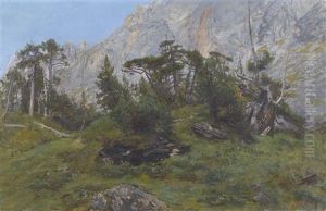 Gebirgspartie Mit Nadelbaumen