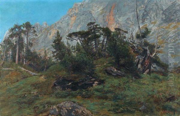Sommerliche Gebirgslandschaft - view 1