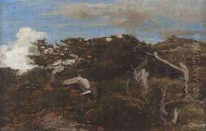 Sommerliche Heidelandschaft Mit Entwurzelten Baumen