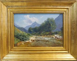 La Pinea Et La Vence La Pinea Et La Vence