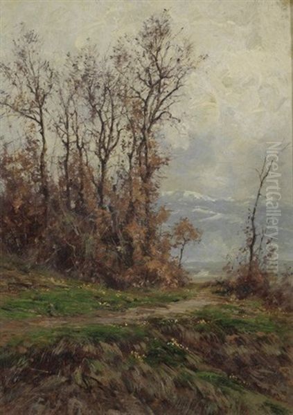 Weg Am Rande Eines Eichenwaldes - view 1