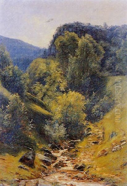 Le Torrent Dans La Foret - view 1