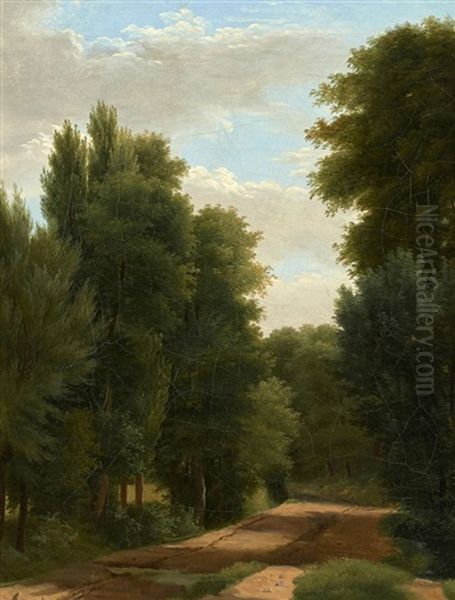 Allee Dans Un Parc - view 1