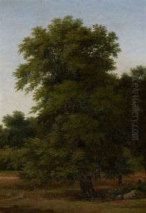 Etude De Chataigner (study)