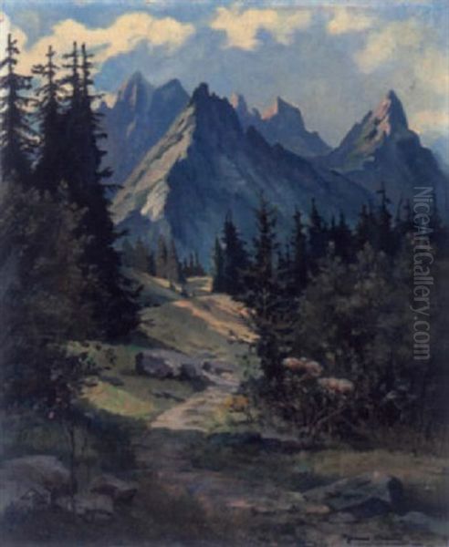 Sommer Im Gebirge - view 1