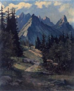 Sommer Im Gebirge