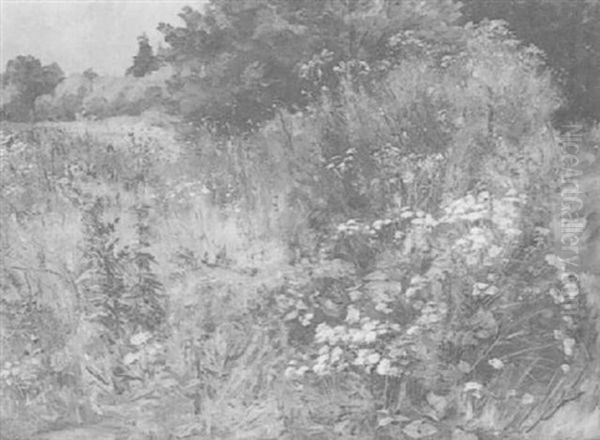 Wiese - view 1
