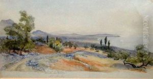 Moladi Gaita by Samuel James Ainsley