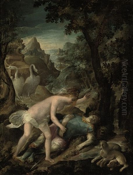 The Death Of Adonis - view 1