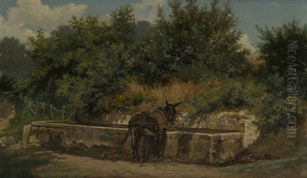 Un Fontanile - view 1