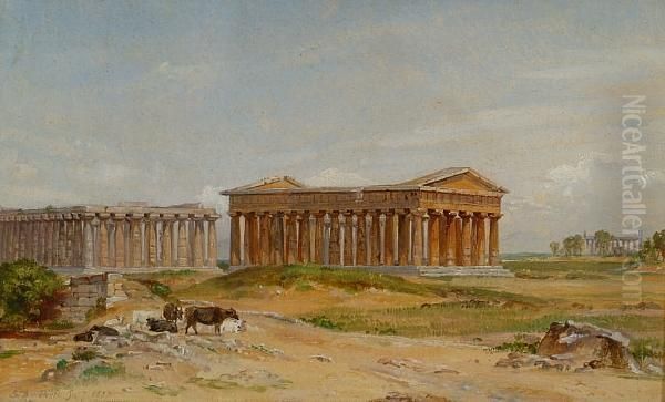 The Ruins At Paestum - view 1