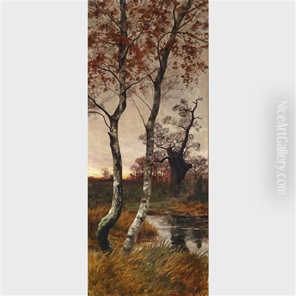 Birch Trees In A Fall Landscape - view 1