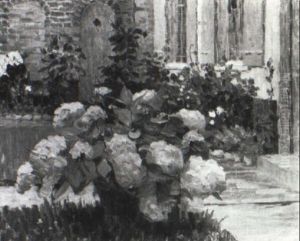 Les Hortensias Les Hortensias