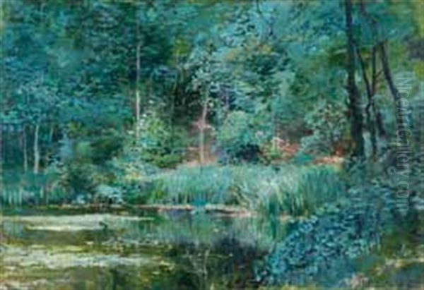 Etang Dans La Foret - view 1