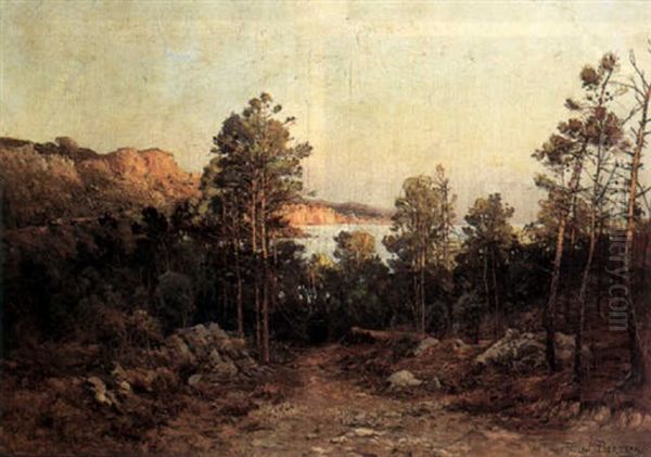 Coastal Scene In The South Of France - view 1