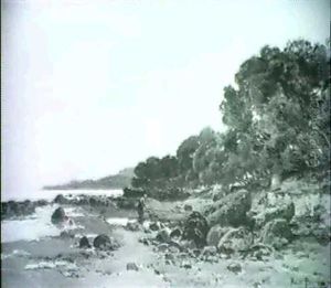 An Der Franzosischen Mittelmeerkuste by Paulin Andre Bertrand