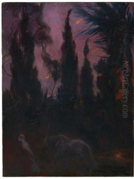 Oasis De Nuit - view 1