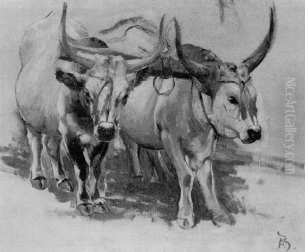 Paire De Boeufs Zebus - view 1